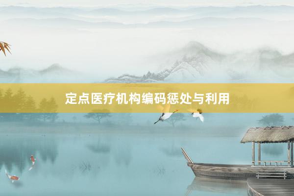 定点医疗机构编码惩处与利用