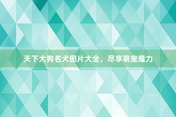 天下大狗名犬图片大全，尽享萌宠魔力