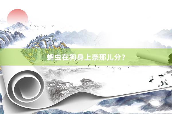蜱虫在狗身上奈那儿分？